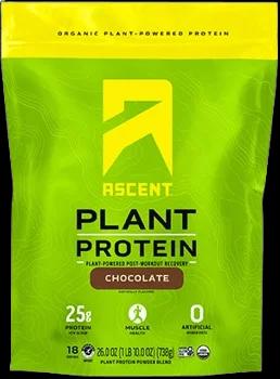 Protein Thực Vật